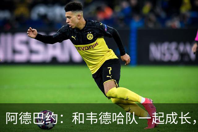 阿德巴约：和韦德哈队一起成长，像在篮球学校上课！